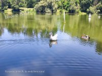 Issoire Plan d'eau Mas 13.jpg